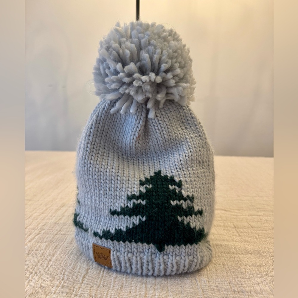 EUC! Panache Evergreen Pom-Pom Beanie - Picture 1 of 5